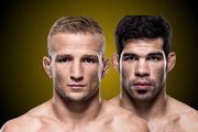 TJ Dillashaw diz que Dominick Cruz não quer enfrentá-lo