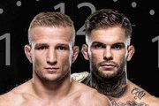 Horário da luta e como assistir Cody Garbrandt x TJ Dillashaw no UFC 217